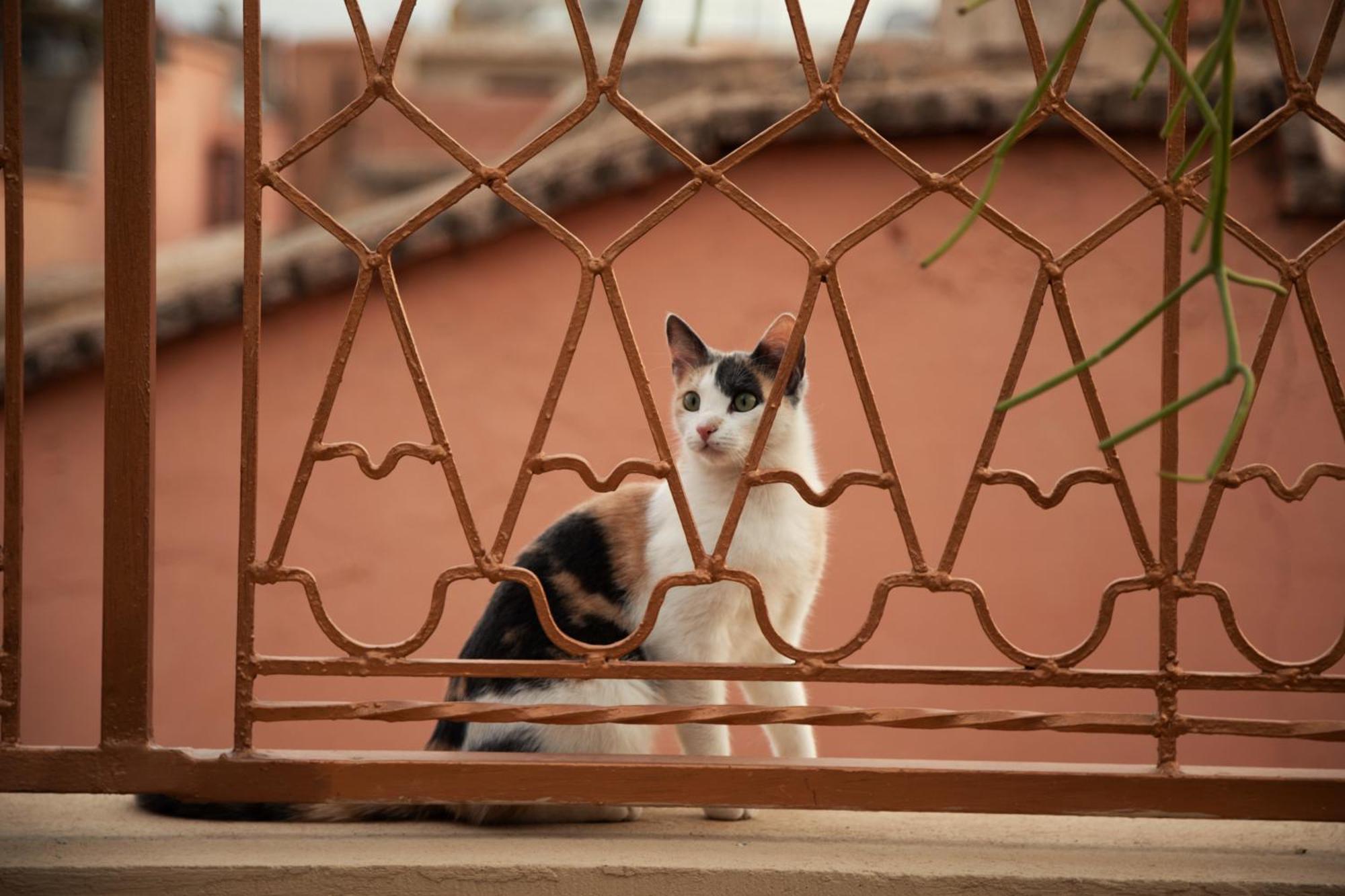 Riad Miss Caracal Marrakesh Bagian luar foto